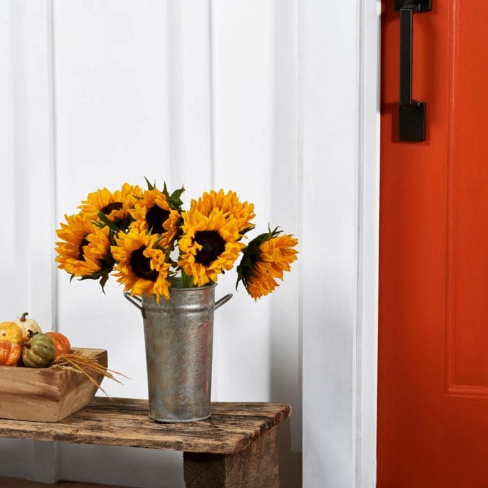 Hot Dipped Galvanized Steel French Flower Bucket