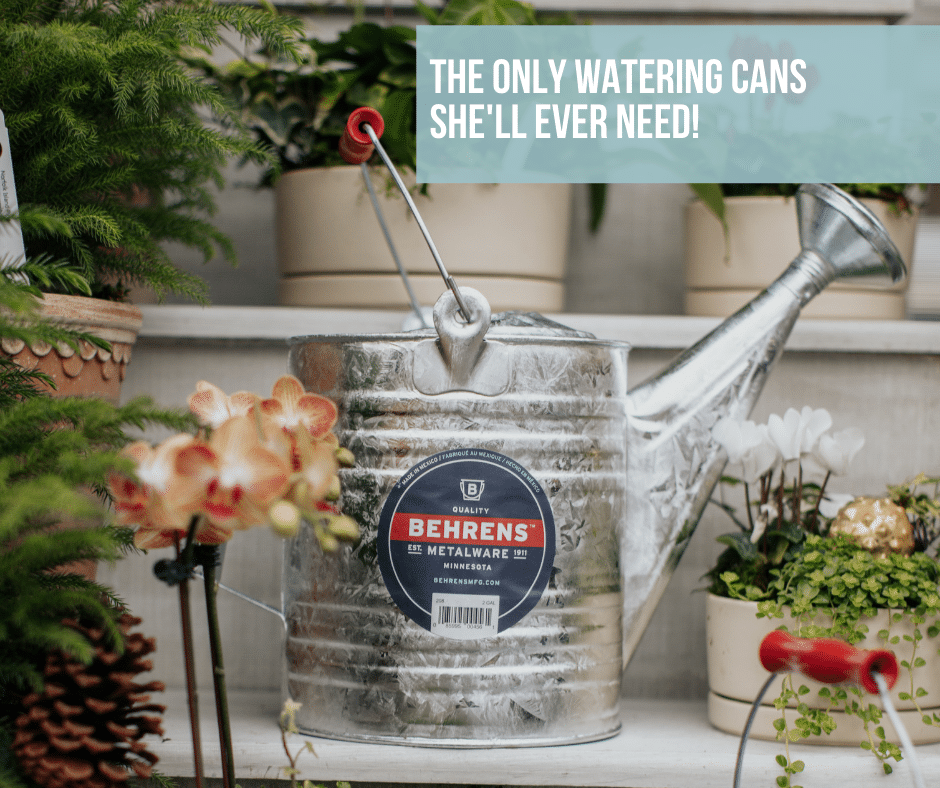 Galvanized steel watering can on display