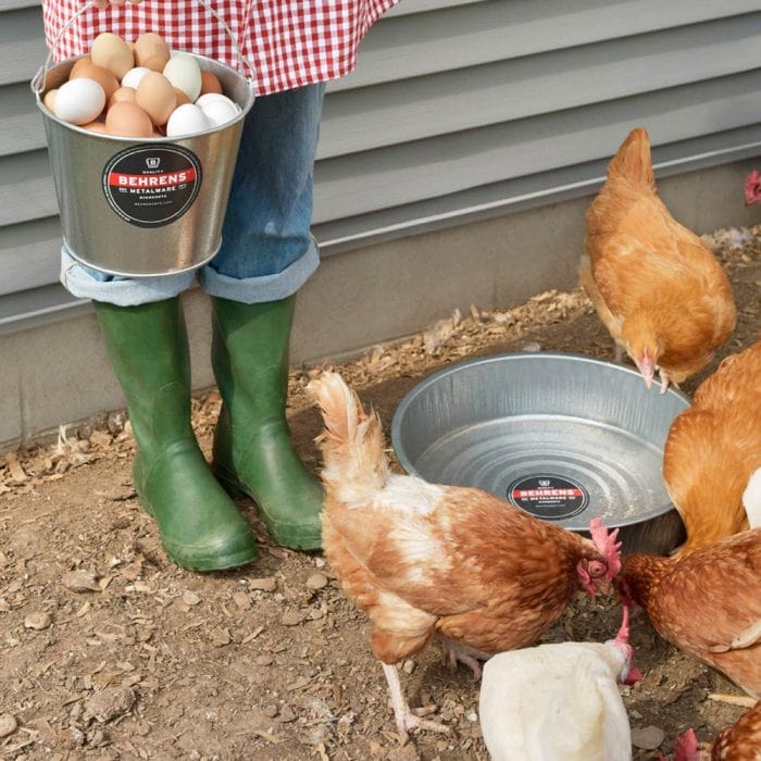Galvanized Steel Dish and Pail