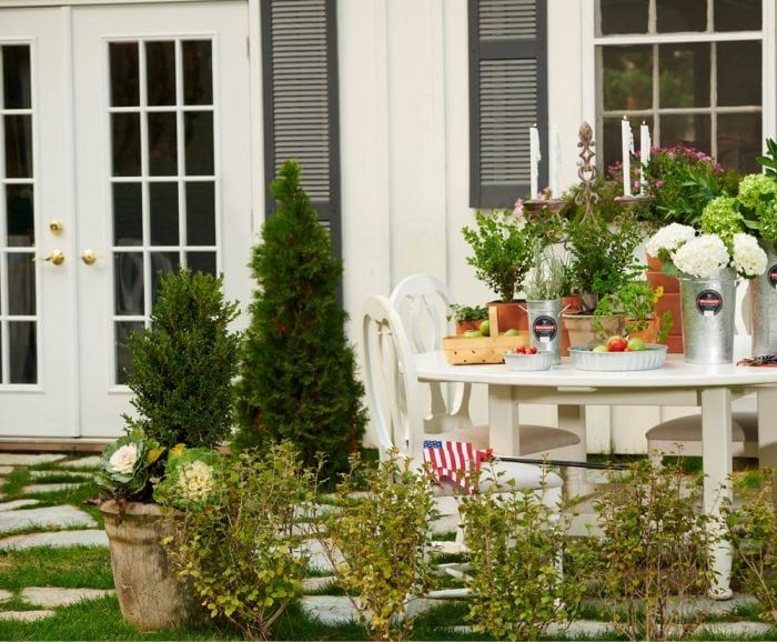 Hot Dipped Galvanized Steel French Flower Buckets and Pans