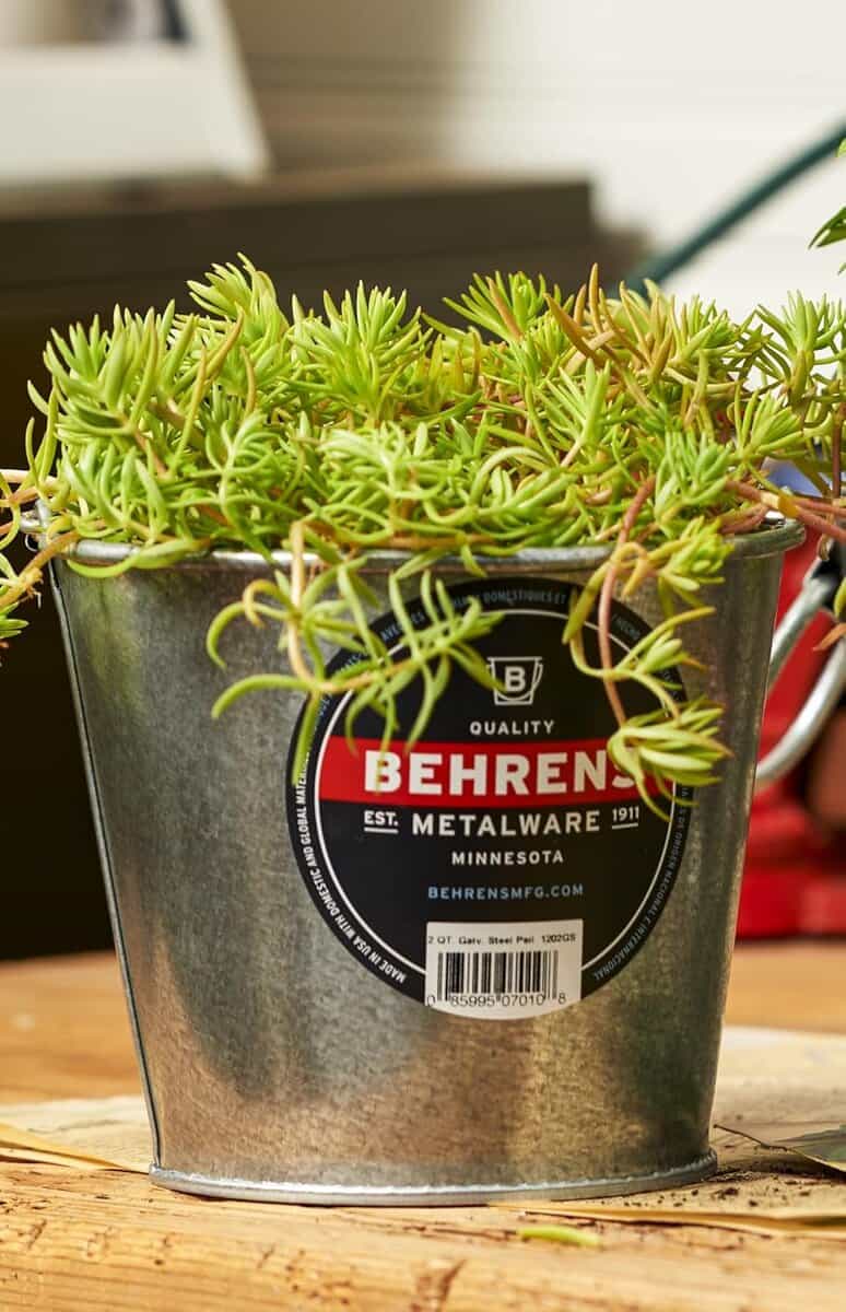 2 Quart Galvanized Steel Pail - Image 2