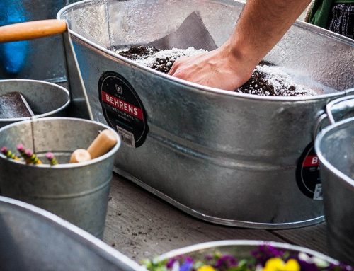 How To Container Garden: Get Started Today!