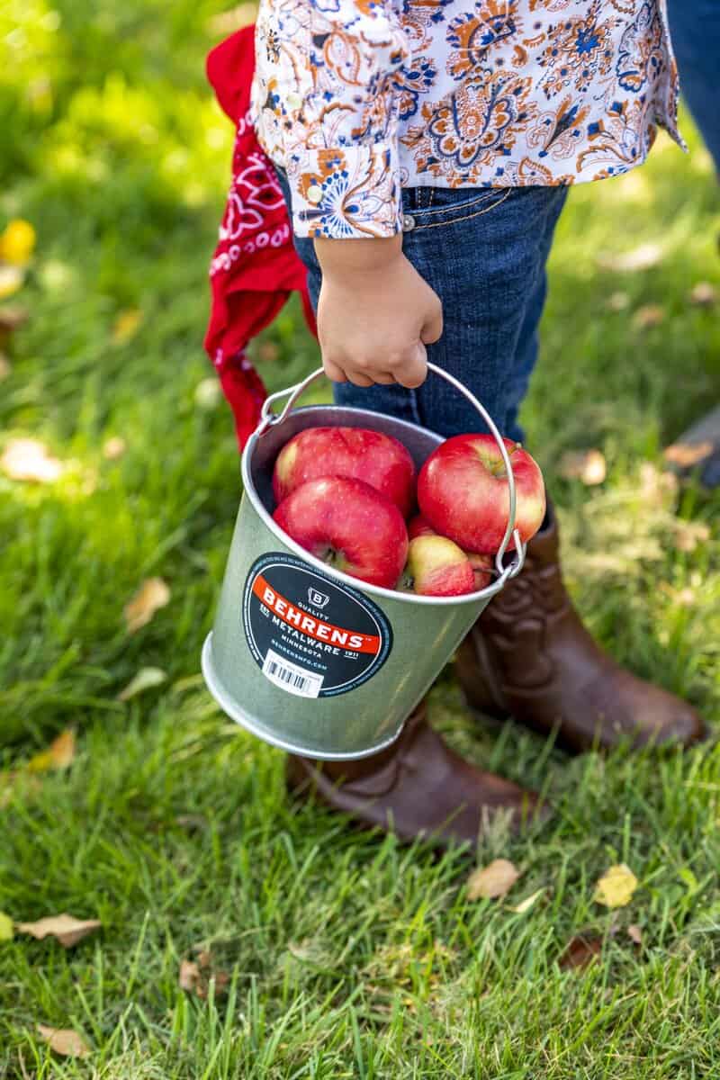 2 Quart Galvanized Steel Pail - Image 7