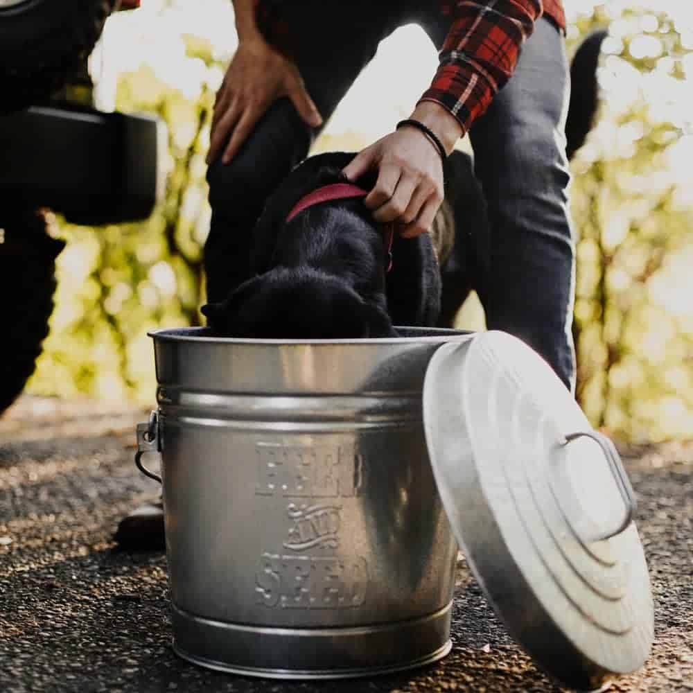 6 Gallon Embossed Locking Lid Can Metal Trash Can & Lid