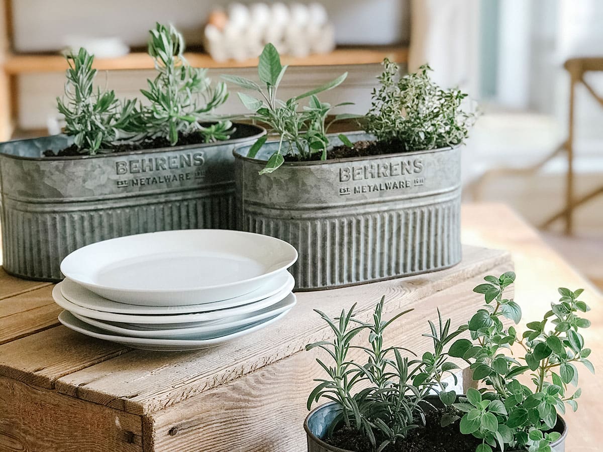 Home Industrials Aged Galvanized Oval Tub