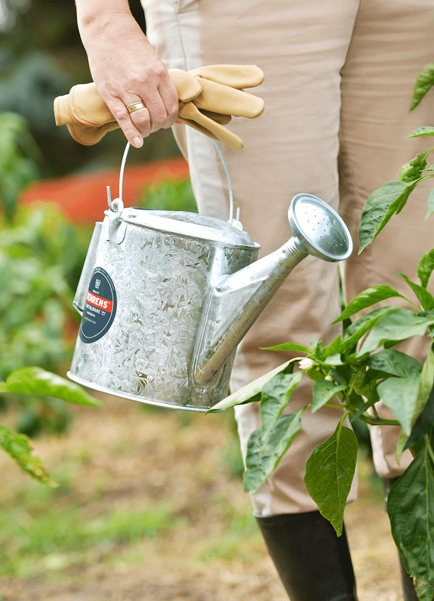 A woman holding a watering can to water plants