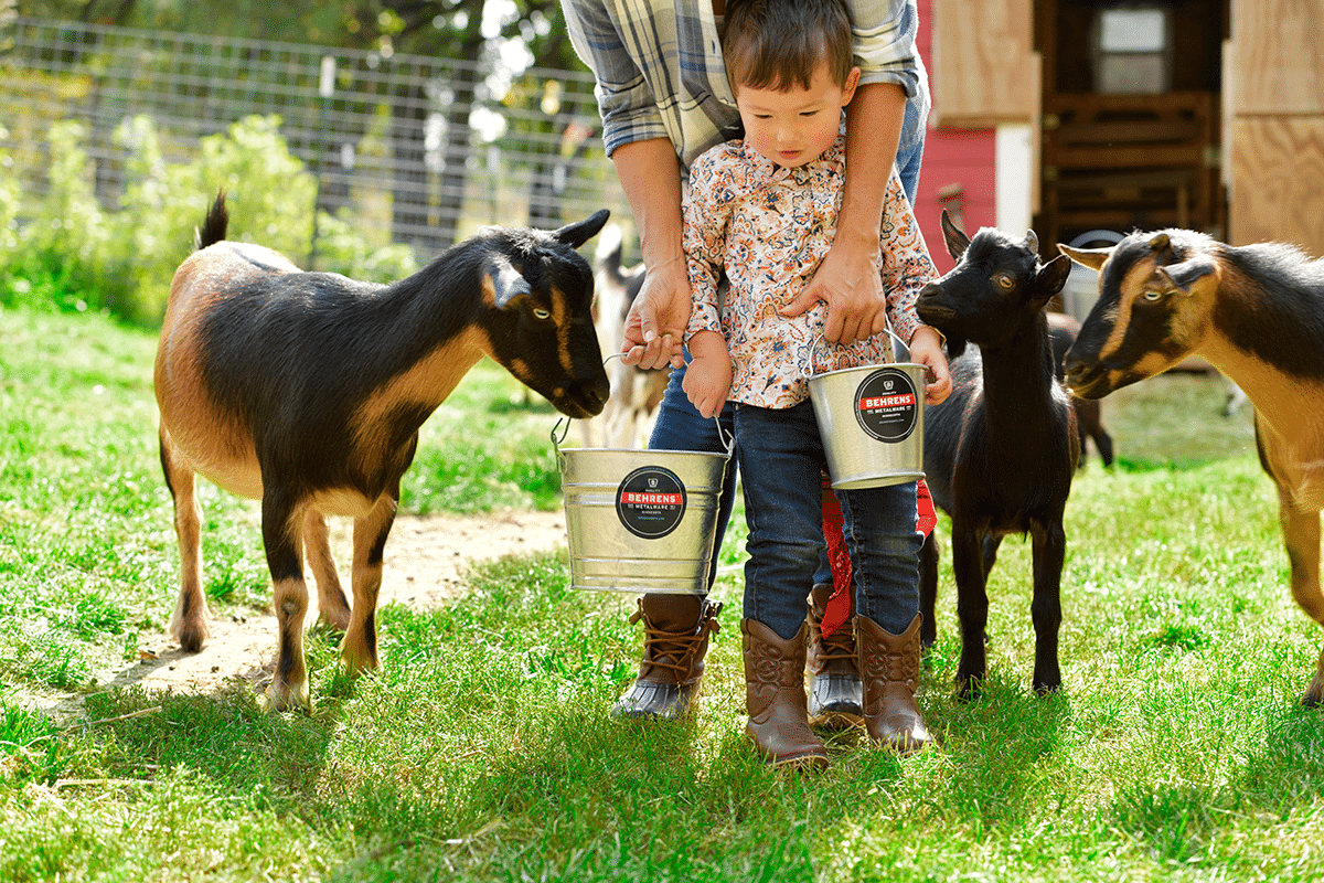 mother and son feeding goats on a hobby farm