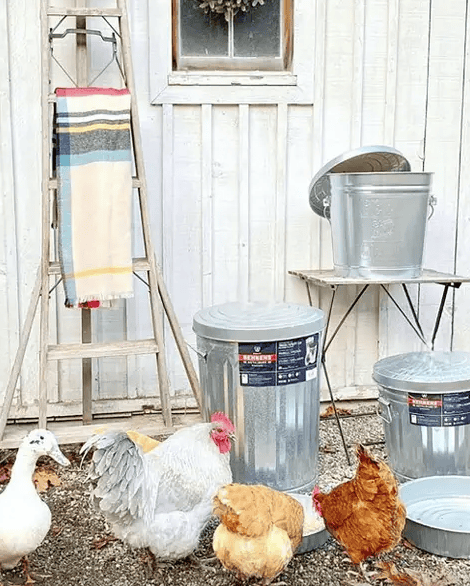 10 Gallon Galvanized Steel Utility / Trash Can with Lid - Image 4