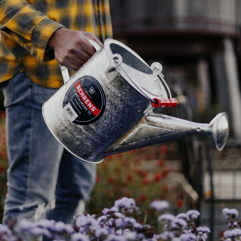 Behrens Watering Cans