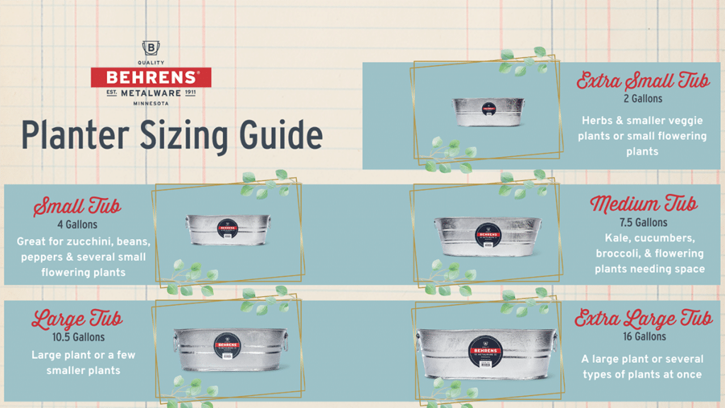 Plant container sizing chart