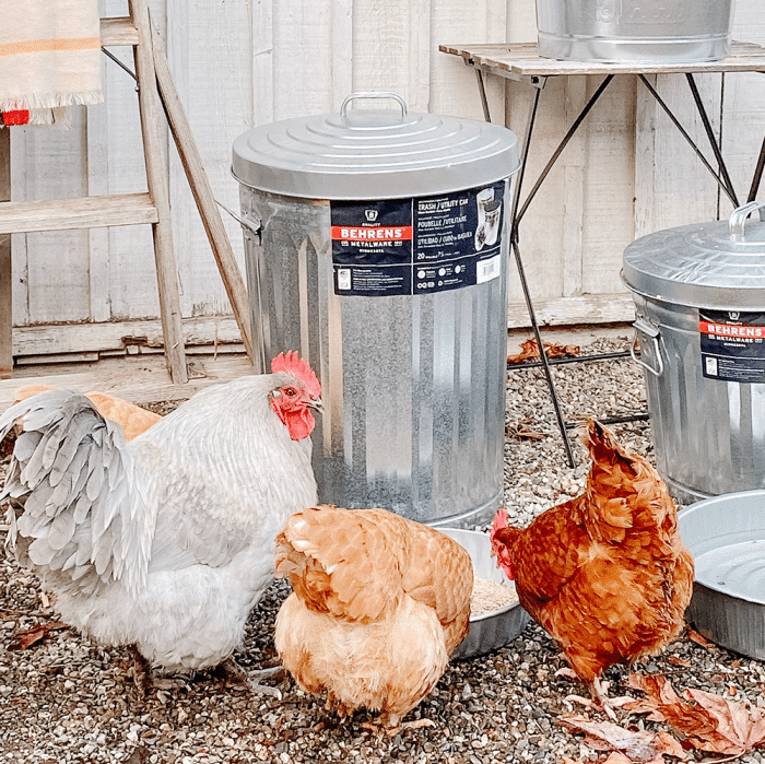 galvanized steel containers used for feed storage