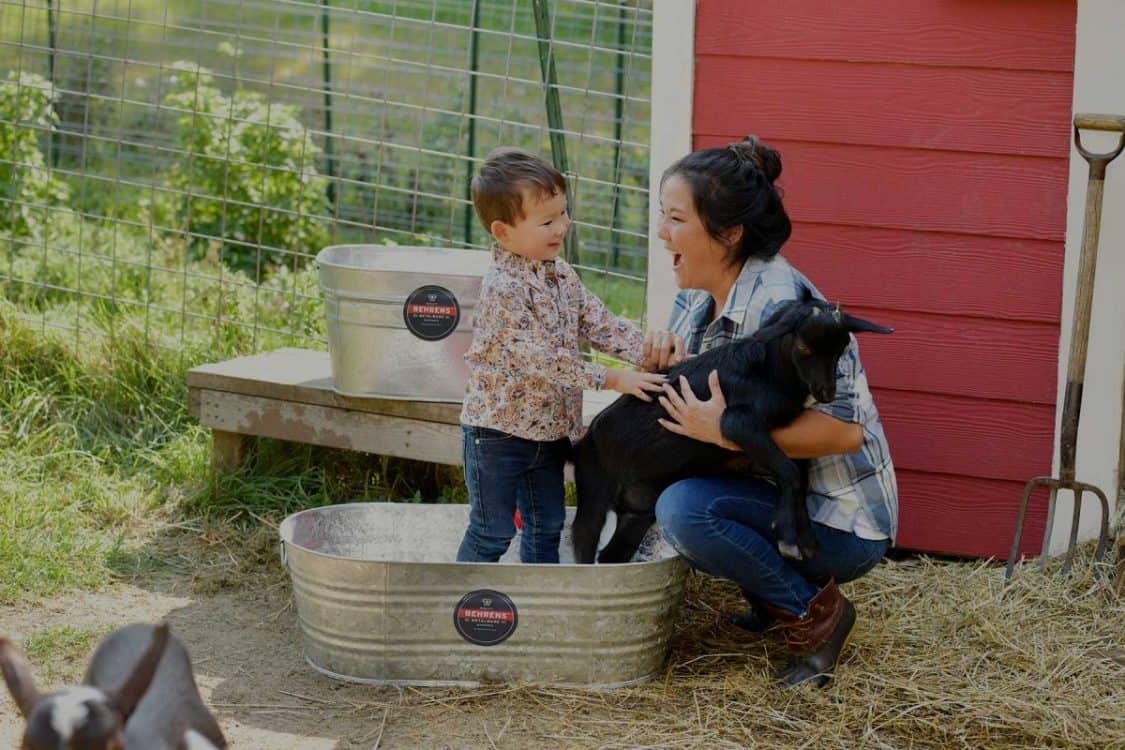 little boy in a galvanized steel tub and mom playing with a goat