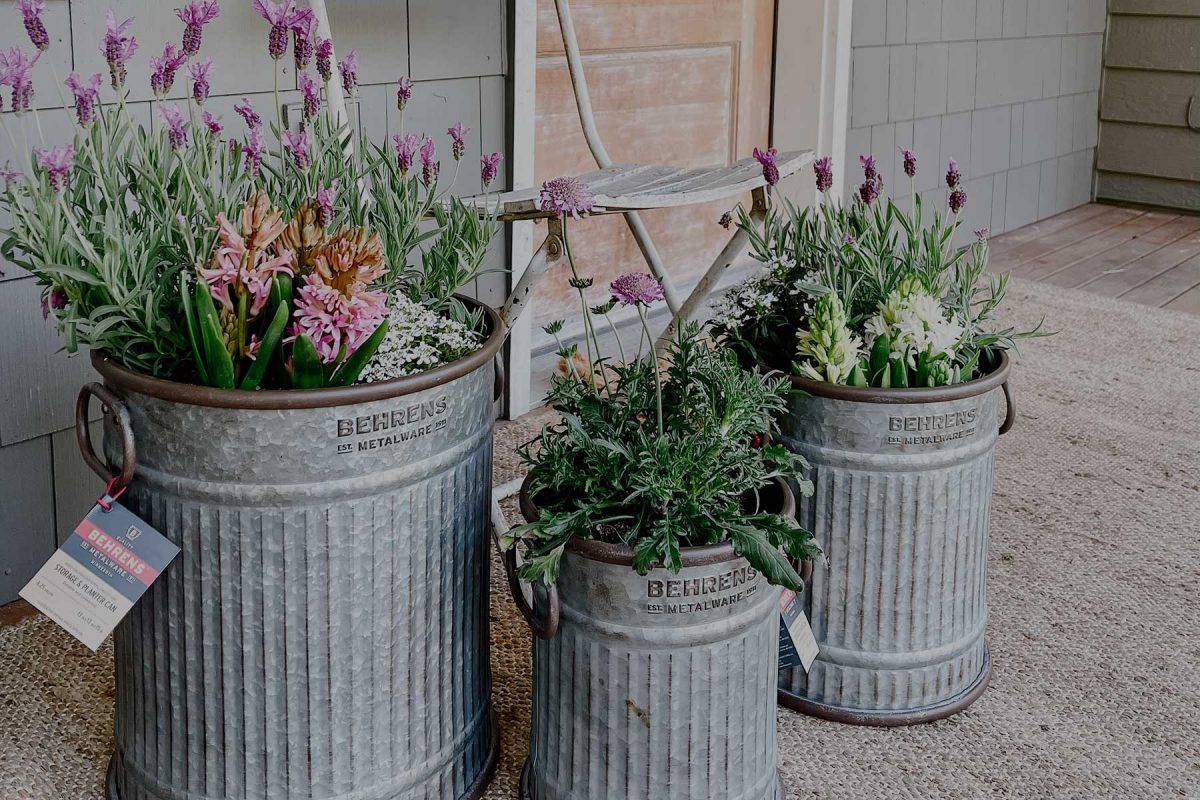 galvanized steel canister planters on a porch