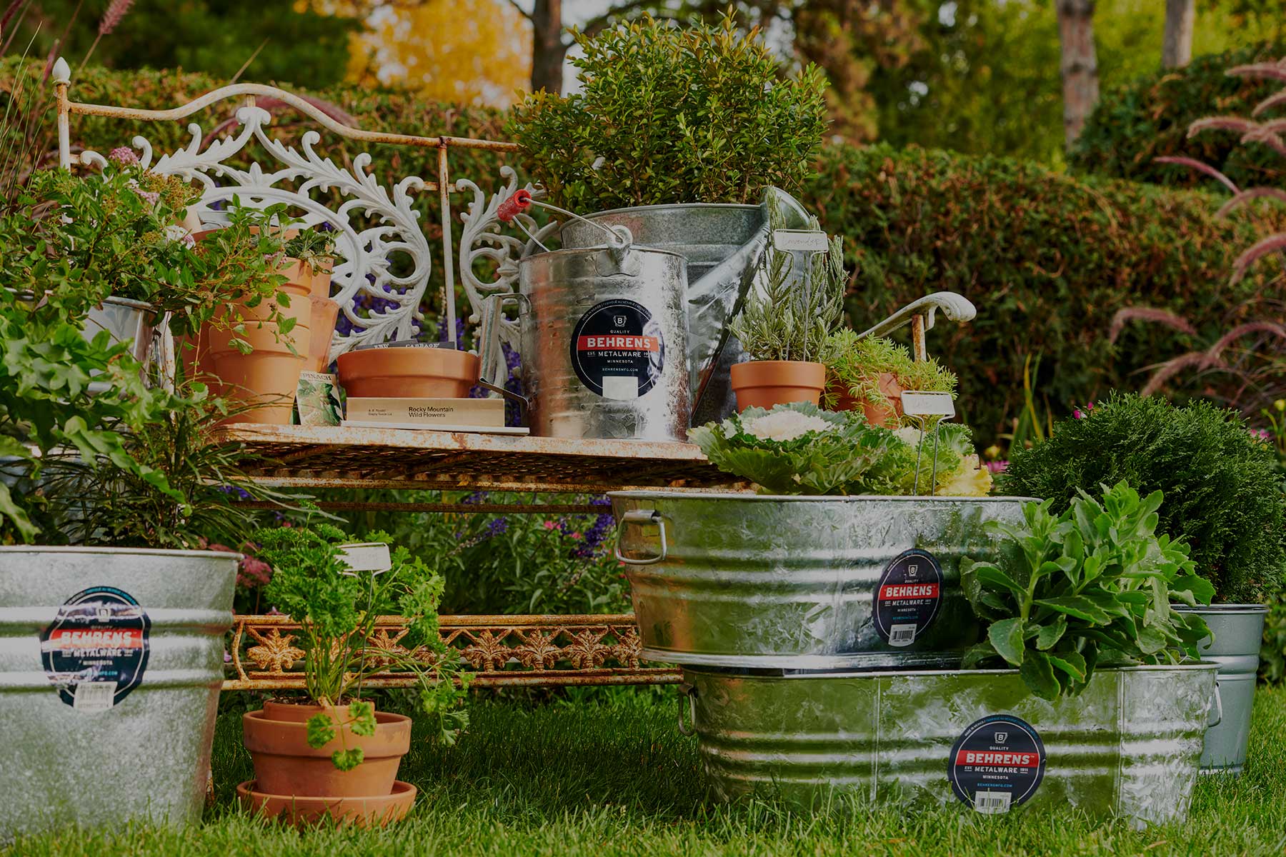 Galvanized planters with herbs on a kitchen table