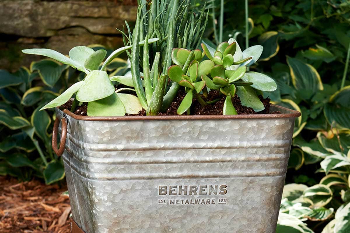 Multi use tubs for planting